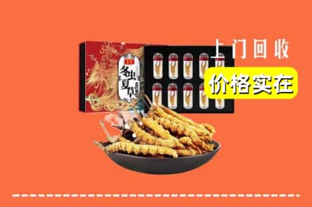 重庆市黔江回收冬虫夏草
